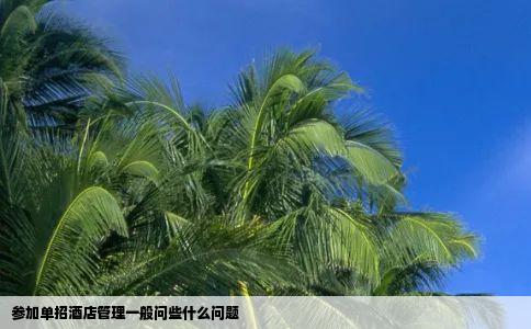 参加单招酒店管理一般问些什么问题
