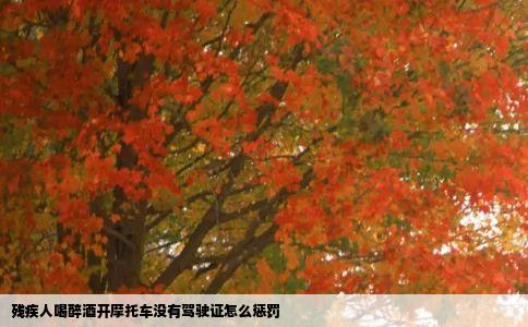 残疾人喝醉酒开摩托车没有驾驶证怎么惩罚