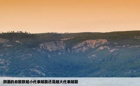 测酒的总酸数越小代表越酸还是越大代表越酸