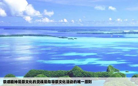 茶道精神是茶文化的灵魂是指导茶文化活动的唯一原则