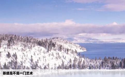 茶道是不是一门艺术