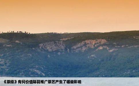 茶经有何价值陆羽推广茶艺产生了那些影响