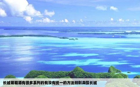 长城葡萄酒有很多系列的有没有统一的方法辨别真假长城