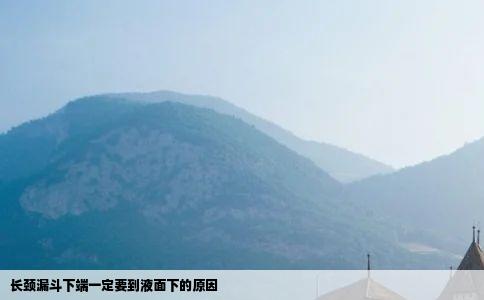 长颈漏斗下端一定要到液面下的原因