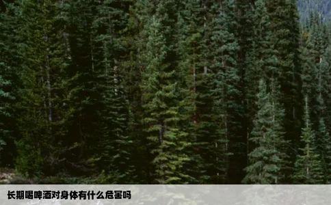 长期喝啤酒对身体有什么危害吗