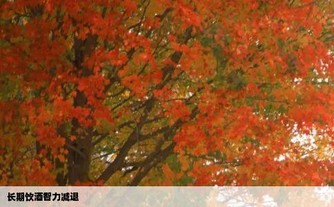 长期饮酒智力减退