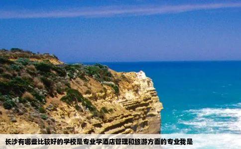 长沙有哪些比较好的学校是专业学酒店管理和旅游方面的专业我是