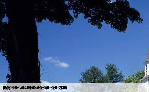 肠胃不好可以喝玫瑰茶荷叶茶叶水吗