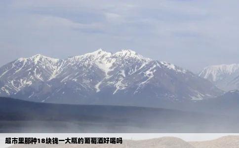 超市里那种18块钱一大瓶的葡萄酒好喝吗