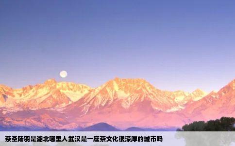茶圣陆羽是湖北哪里人武汉是一座茶文化很深厚的城市吗