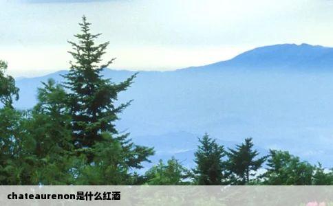 chateaurenon是什么红酒
