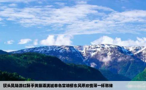 钗头凤陆游红酥手黄藤酒满城春色宫墙柳东风恶欢情薄一杯愁绪