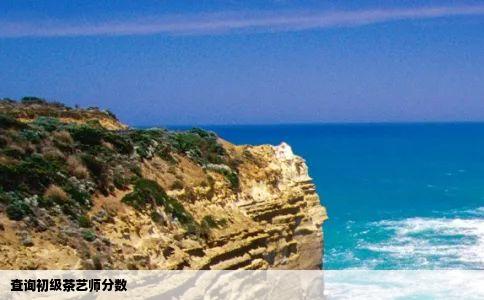 查询初级茶艺师分数