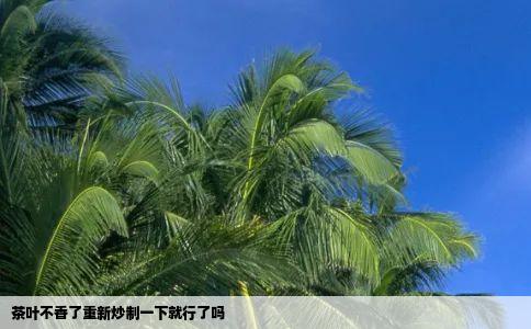 茶叶不香了重新炒制一下就行了吗