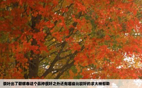 茶叶出了碧螺春这个品种很好之外还有哪些比较好的求大神帮助