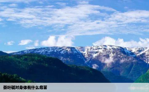 茶叶碱对身体有什么危害