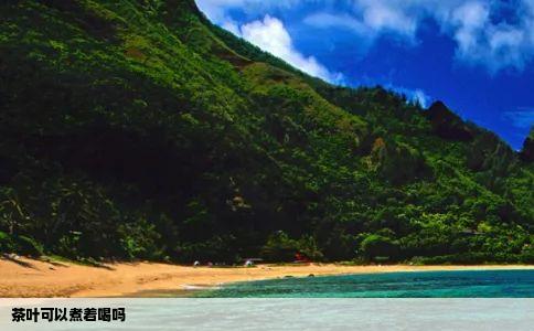 茶叶可以煮着喝吗