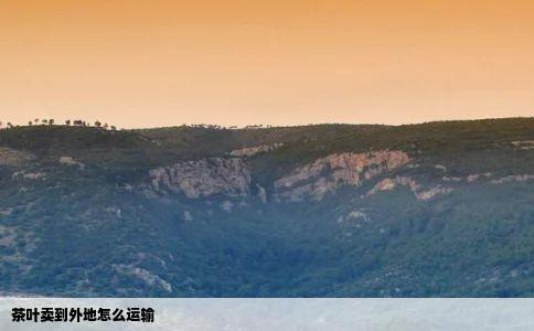 茶叶卖到外地怎么运输