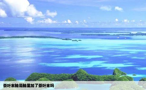 茶叶末釉是釉里加了茶叶末吗
