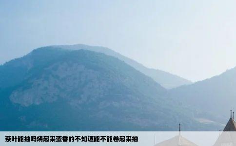 茶叶能抽吗烧起来蛮香的不知道能不能卷起来抽