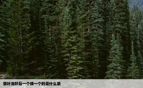 茶叶泡好后一个接一个的是什么茶