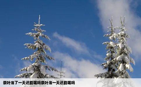 茶叶泡了一天还能喝吗茶叶泡一天还能喝吗