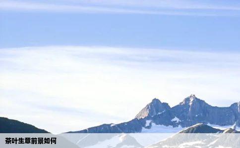 茶叶生意前景如何