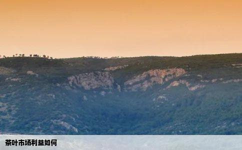 茶叶市场利益如何