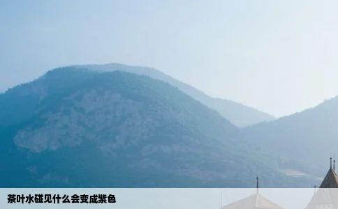茶叶水碰见什么会变成紫色