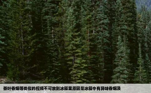茶叶香烟等类似的视频不可放到冰箱里原因是冰箱中有异味香烟及