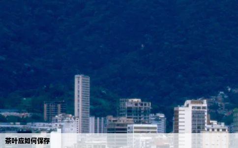 茶叶应如何保存