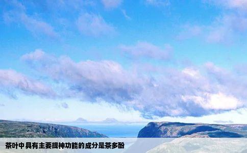 茶叶中具有主要提神功能的成分是茶多酚