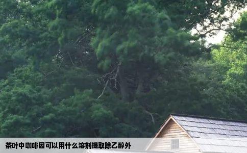 茶叶中咖啡因可以用什么溶剂提取除乙醇外
