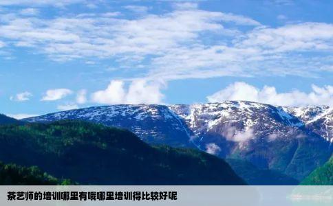茶艺师的培训哪里有哦哪里培训得比较好呢