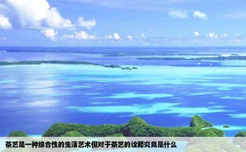 茶艺是一种综合性的生活艺术但对于茶艺的诠释究竟是什么