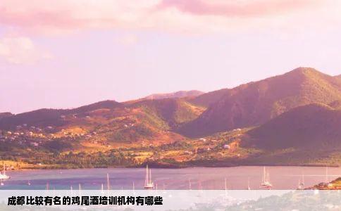 成都比较有名的鸡尾酒培训机构有哪些