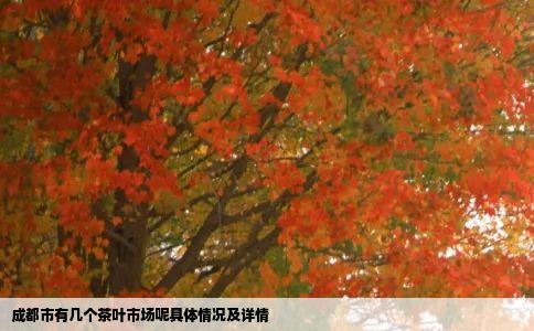 成都市有几个茶叶市场呢具体情况及详情