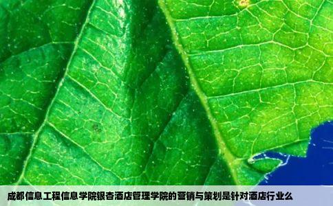 成都信息工程信息学院银杏酒店管理学院的营销与策划是针对酒店行业么