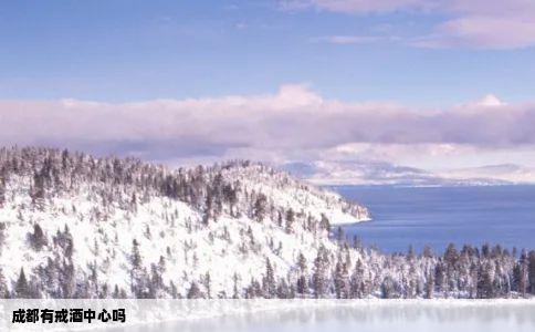 成都有戒酒中心吗