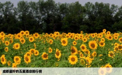 成都最好的五星酒店排行榜