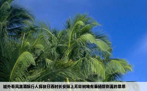 城外看风满酒旗行人挥袂日西时长安陌上无穷树唯有垂杨管别离的意思