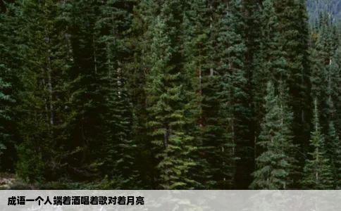 成语一个人端着酒唱着歌对着月亮
