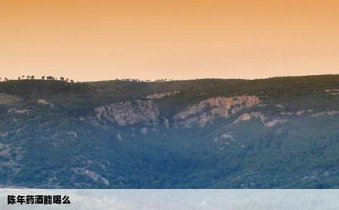 陈年药酒能喝么