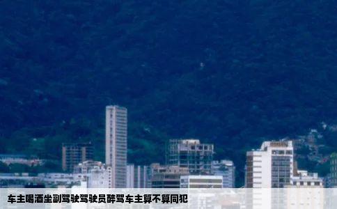 车主喝酒坐副驾驶驾驶员醉驾车主算不算同犯