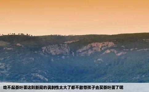 吃不起茶叶蛋这则新闻的讽刺性太大了都不敢带孩子去买茶叶蛋了呢