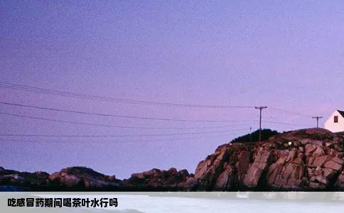 吃感冒药期间喝茶叶水行吗