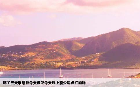 吃了三天甲硝锉今天没吃今天晚上能少喝点红酒吗