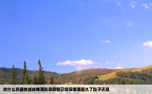 吃什么药最快减掉啤酒肚急啊我已经没喝酒很久了肚子还是