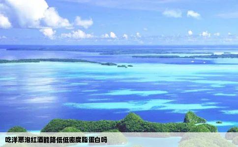 吃洋葱泡红酒能降低低密度脂蛋白吗