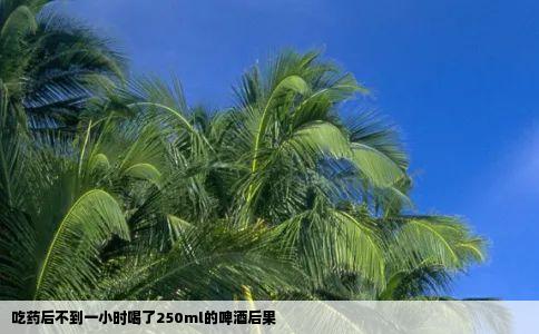吃药后不到一小时喝了250ml的啤酒后果
